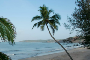 Velneshwar Beach